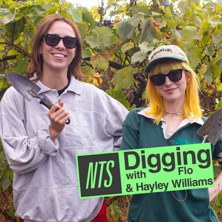 cover art for Hayley Williams