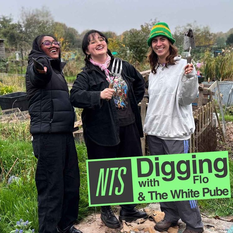 cover art for The White Pube