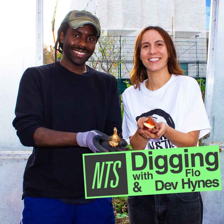 cover art for Dev Hynes