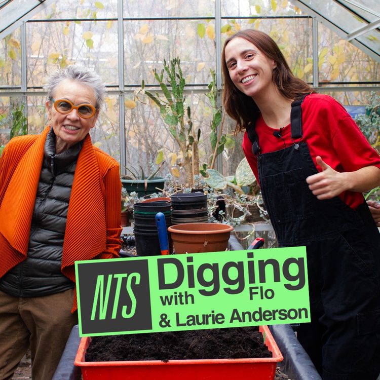 cover art for Laurie Anderson