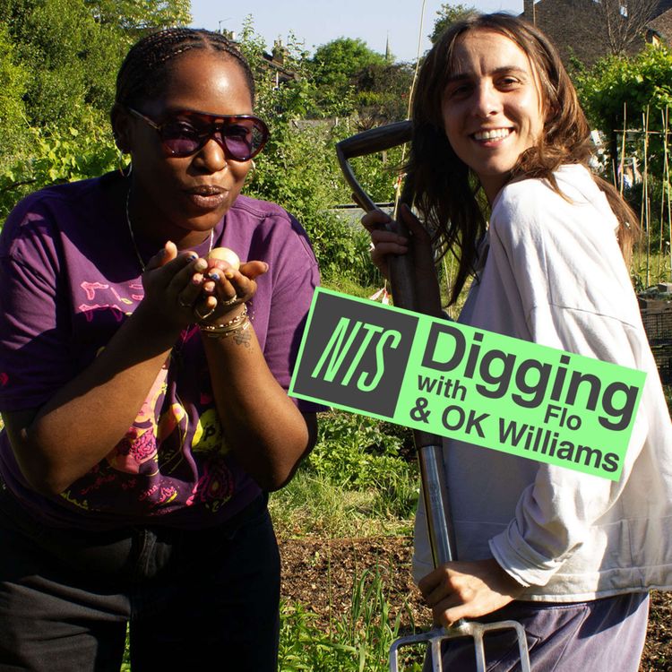 cover art for OK Williams