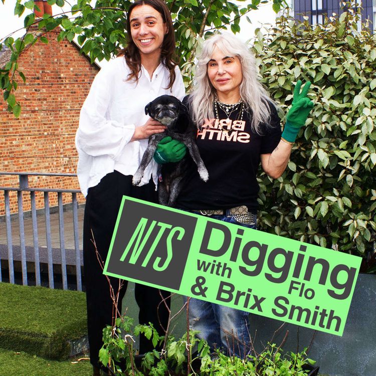 cover art for Brix Smith