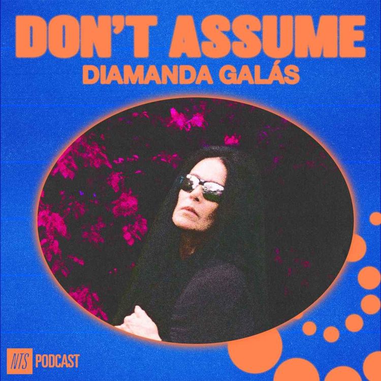 cover art for Diamanda Galás 