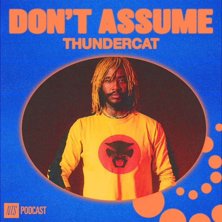 cover art for Thundercat