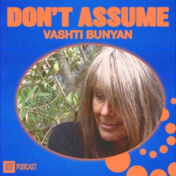 cover art for Vashti Bunyan