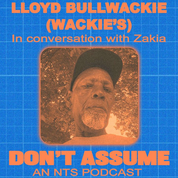 cover art for Lloyd Bullwackie (Wackie's)