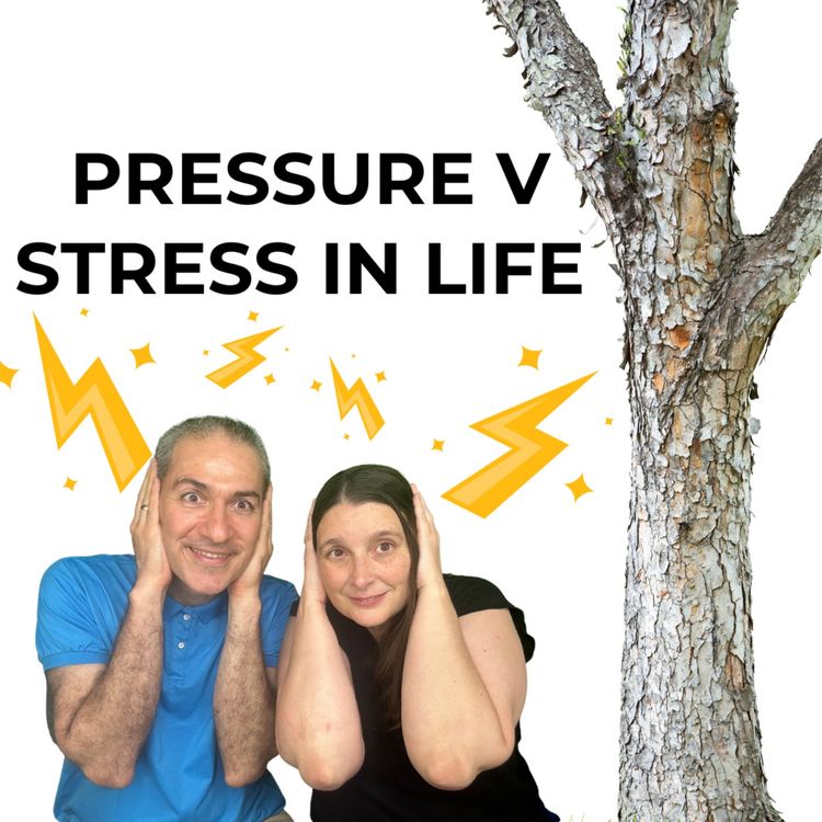 cover art for From Overwhelm to Triumph Conquering Stress