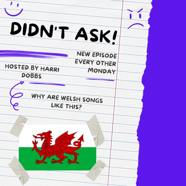 cover art for 5_Why Are Welsh Songs Like This?