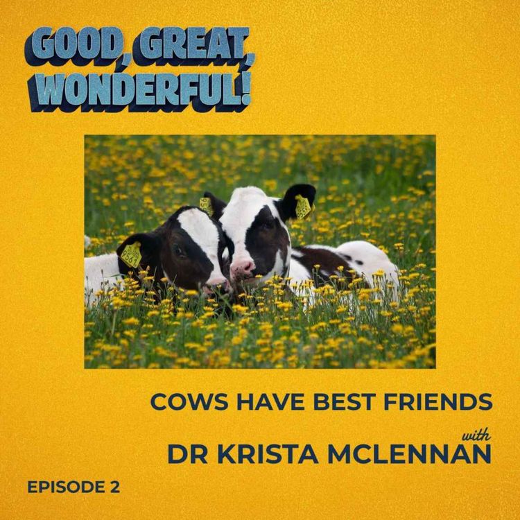 cover art for The Woman Who Discovered Cows Have Best Friends