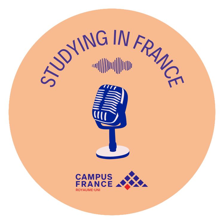 cover art for Episode 4: First steps in France: a practical guide