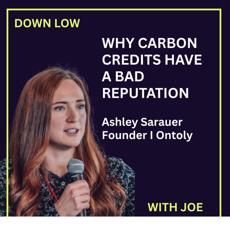cover art for Why Carbon Credits Have a Bad Reputation