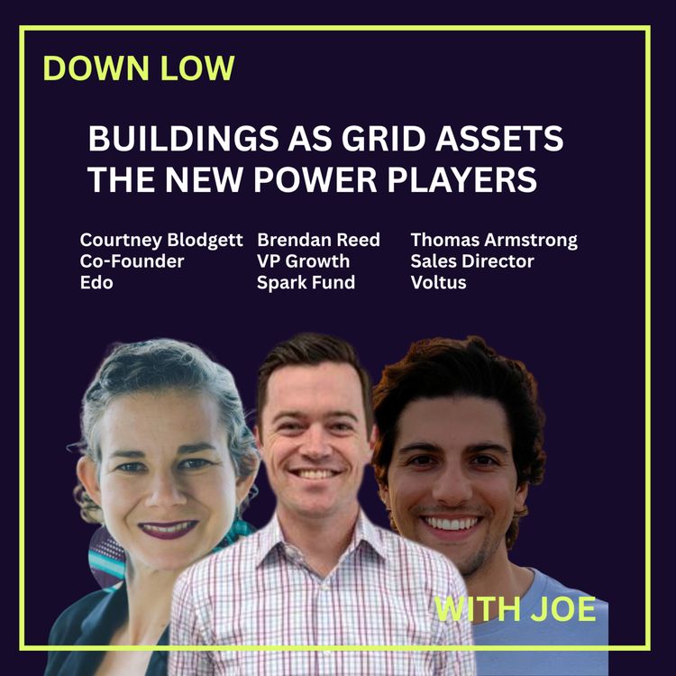 cover art for Buildings as Grid Assets. The New Power Players.