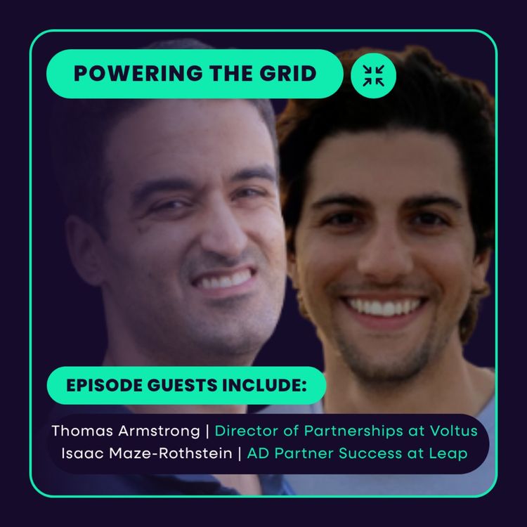 cover art for The importance of VPPs for Powering the Grid 