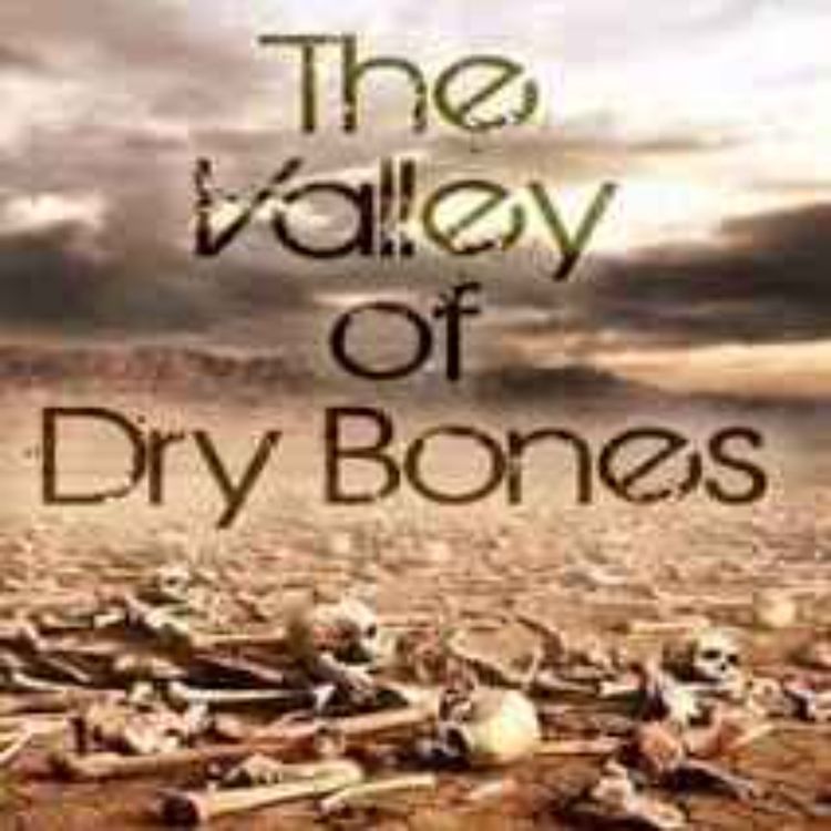 cover art for The Valley of Dry Bones