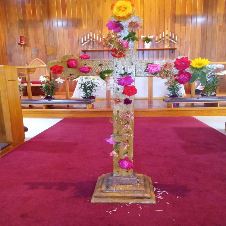 cover art for If Jesus Suddenly Appeared Today, Would We Recognize Him?