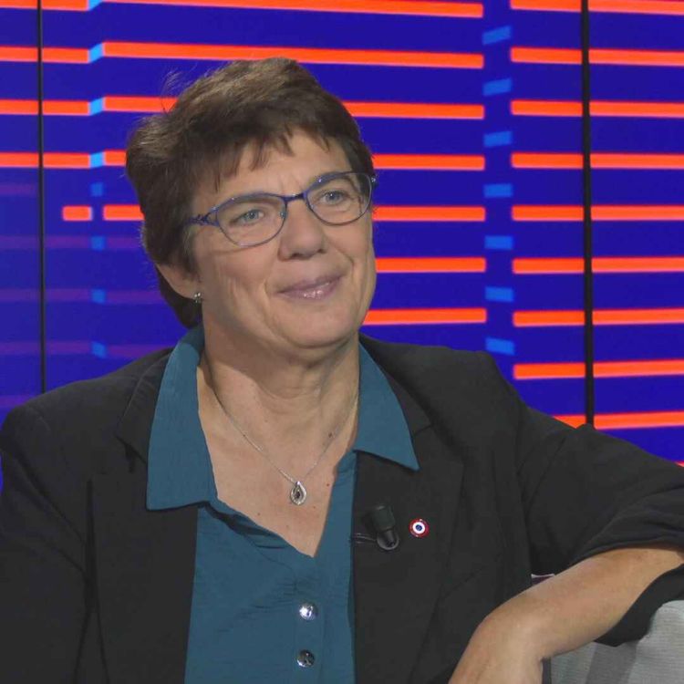 cover art for Marie-José Allemand, une éleveuse de brebis à l'Assemblée