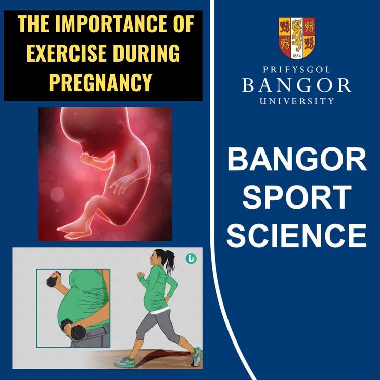 cover art for The Importance of Exercise During Pregnancy