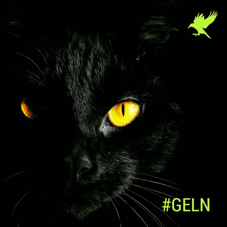 cover art for La posesión del gato (Capítulo 3)