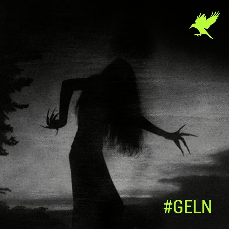 cover art for La bruja de Hidalgo II