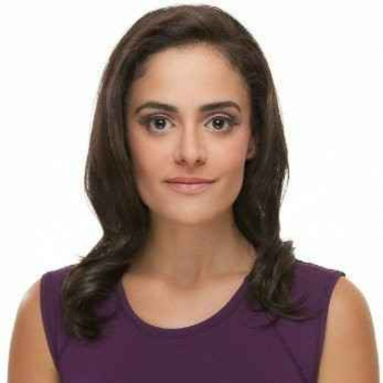 cover art for The Small Business Innovation Research (SBIR) program with Amanda Bresler