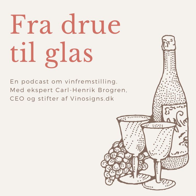 cover art for Fra drue til glas - Gærvalg ved vinfremstilling