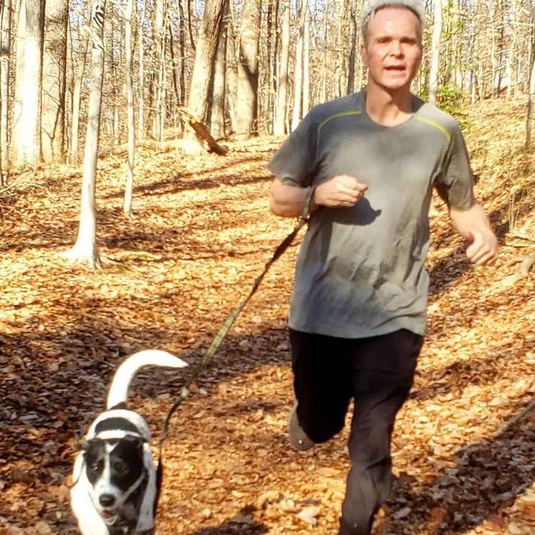 cover art for Episode 5-509 – Sean - Back to the dogs! 