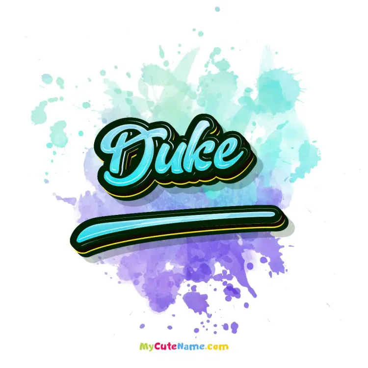 cover art for Duke meaning 