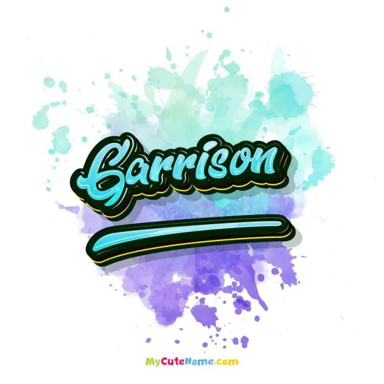 cover art for Garrison meaning 