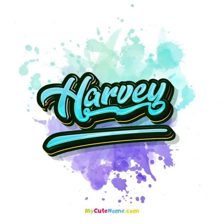 cover art for Harvey meaning 