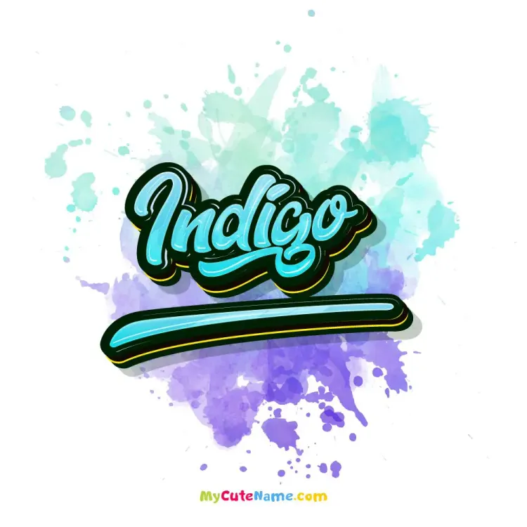 cover art for Indigo meaning 