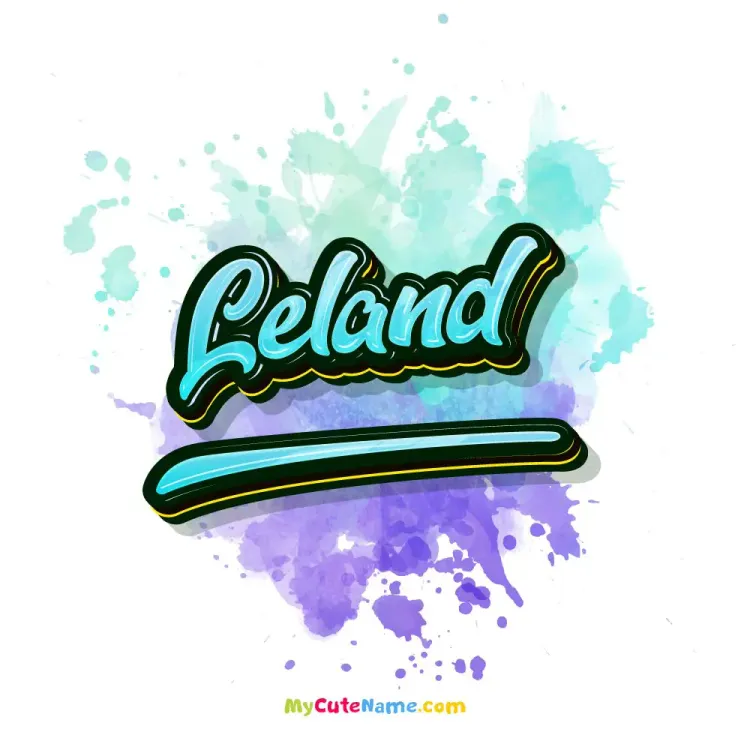 cover art for Leland meaning 