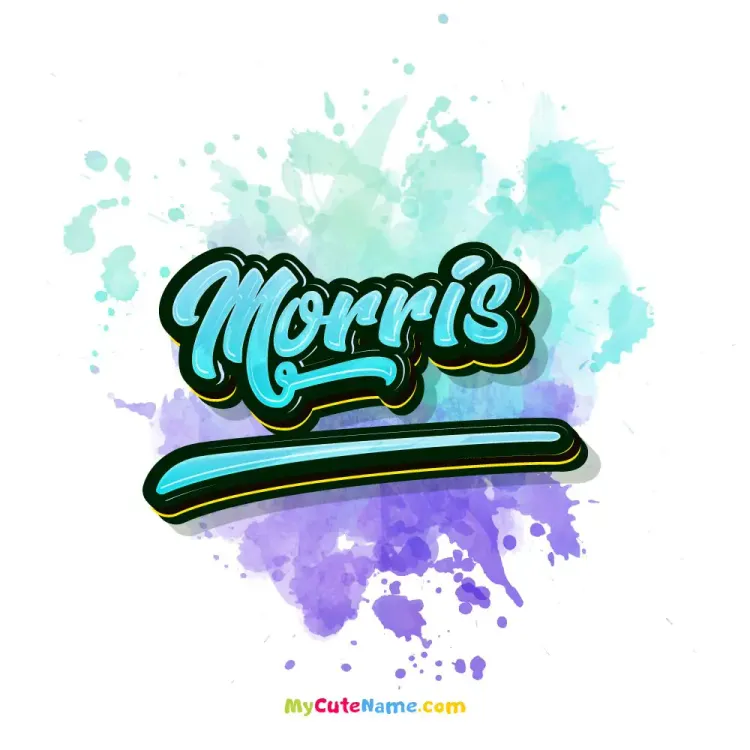 cover art for Morris meaning