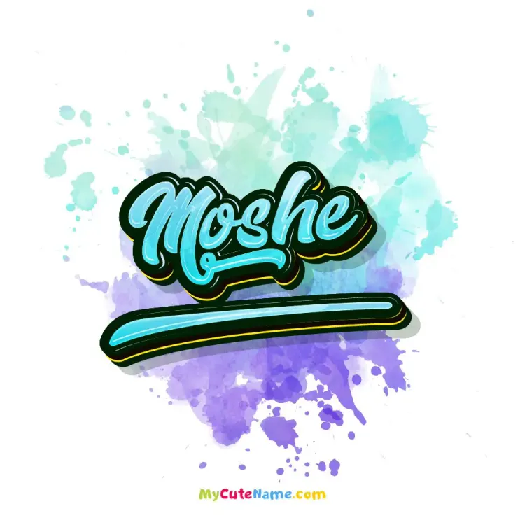 cover art for Moshe meaning 