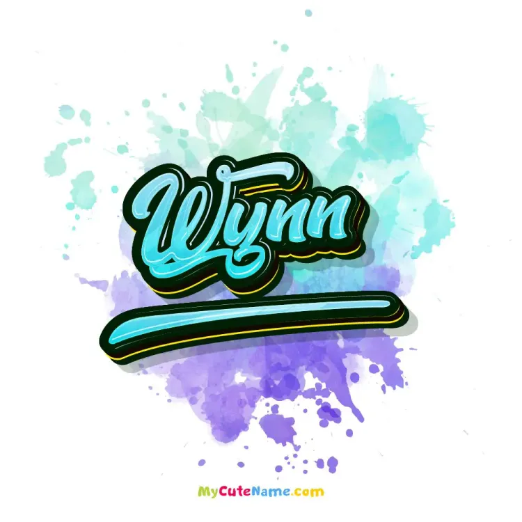 cover art for Wynn meaning 