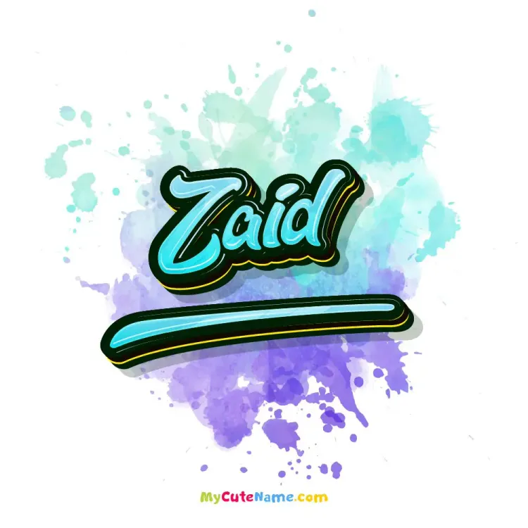 cover art for Zaid meaning