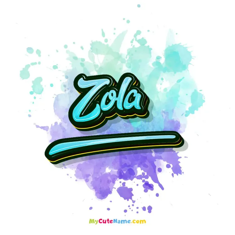 cover art for Zola meaning 