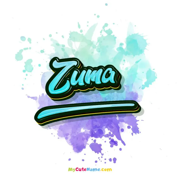 cover art for zuma meaning 