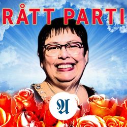 cover art for Rått parti