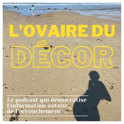cover art for L'ovaire du décor