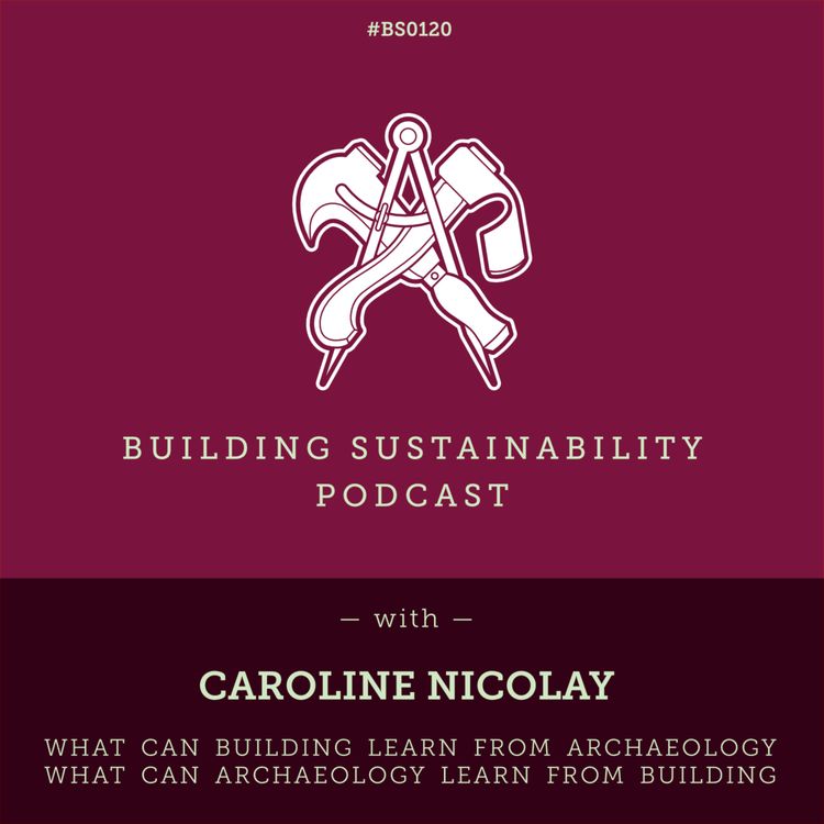 cover art for The past informs the present, the present informs the past - Caroline Nicolay - BS120