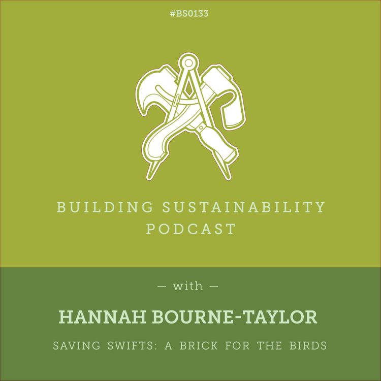 cover art for Saving Swifts: A Brick for the Birds - Hannah Bourne-Taylor - BS133