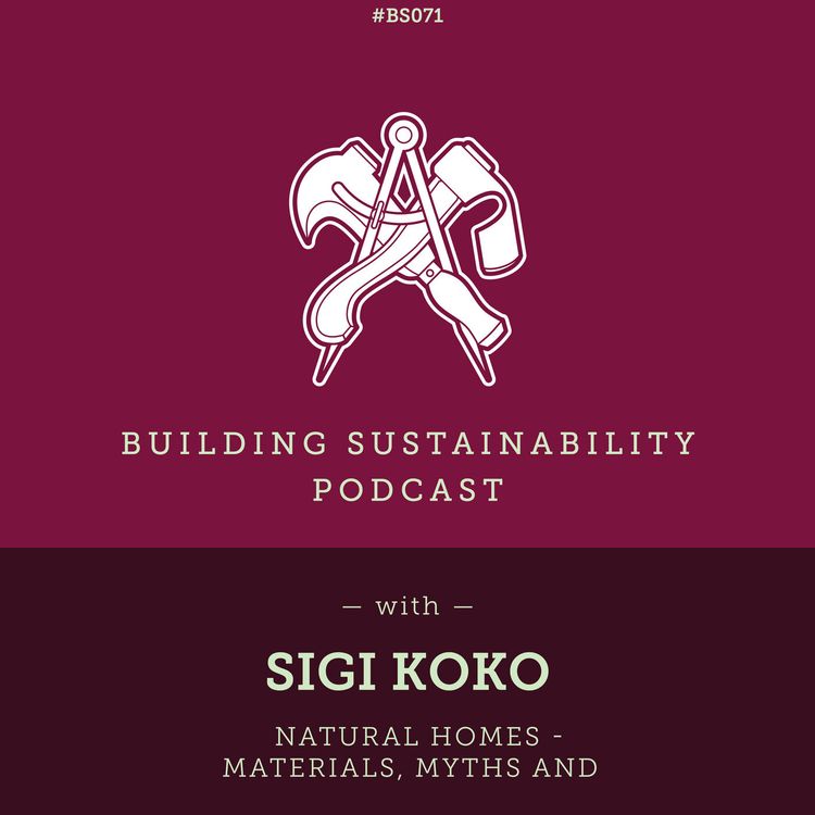 cover art for Natural Homes - Materials, Myths and Empowerment - Sigi Koko - BS071