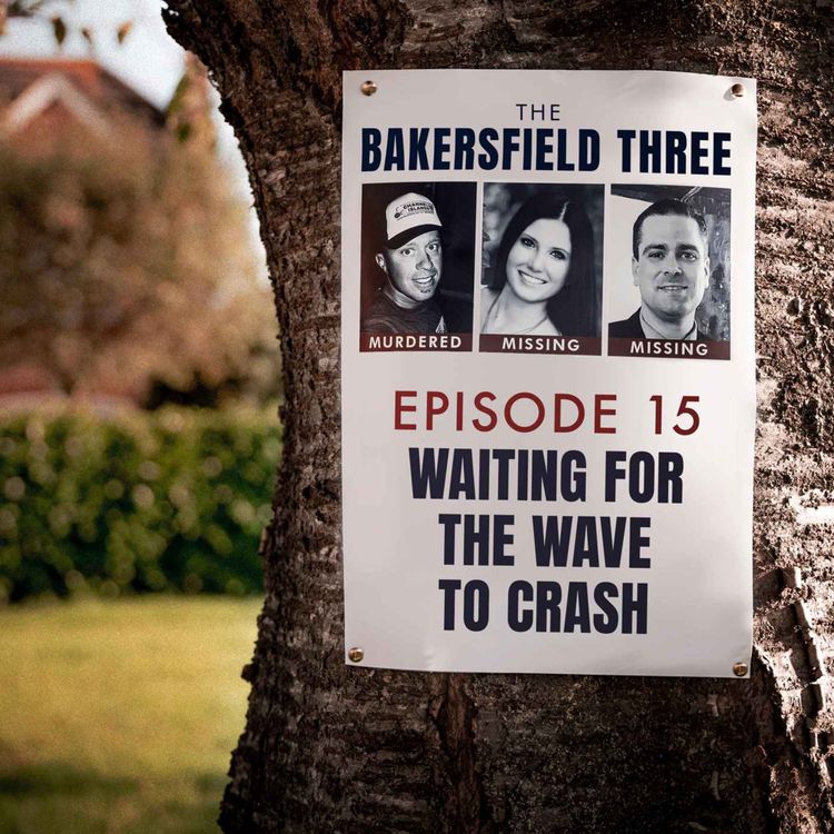 cover art for Episode 15: Waiting for the Wave to Crash