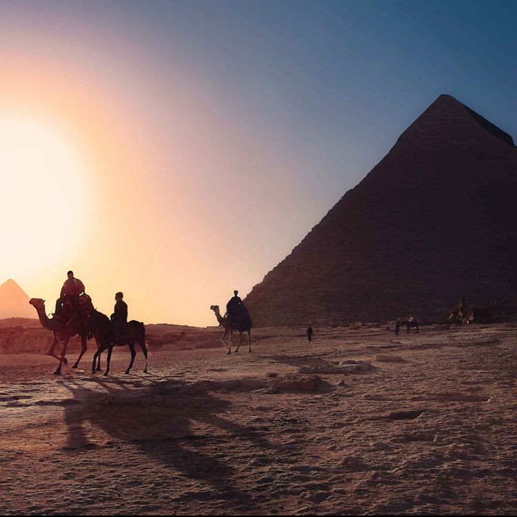 cover art for Malek in Egypt