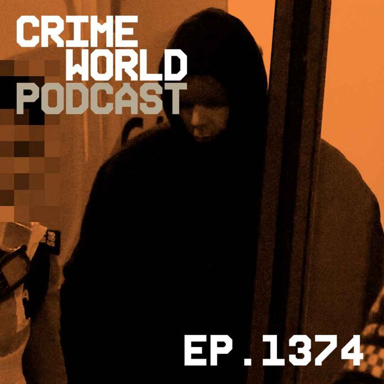 cover art for How gardaí caught career criminal 'The Vet' red-handed with cocaine worth €10.6 million