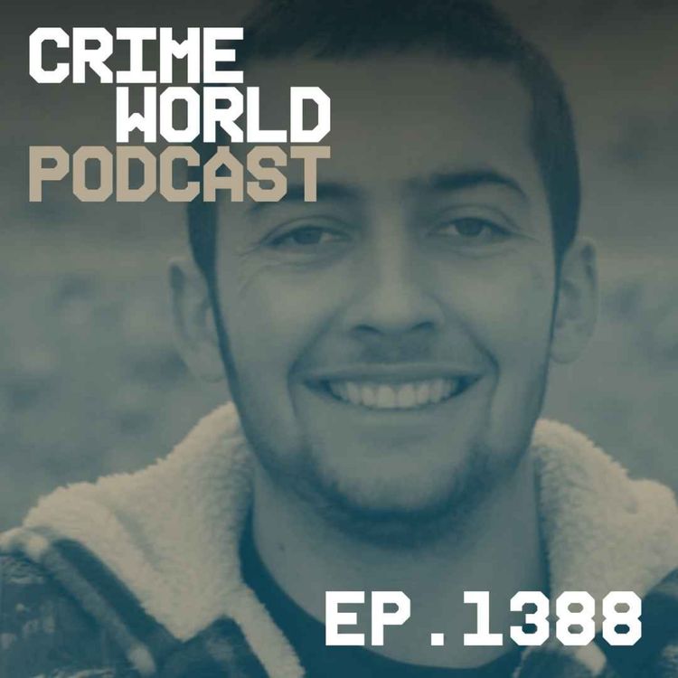 cover art for Louth man smuggled assault rifles and pipe bombs from the US to sell to 'Ireland's top criminals'