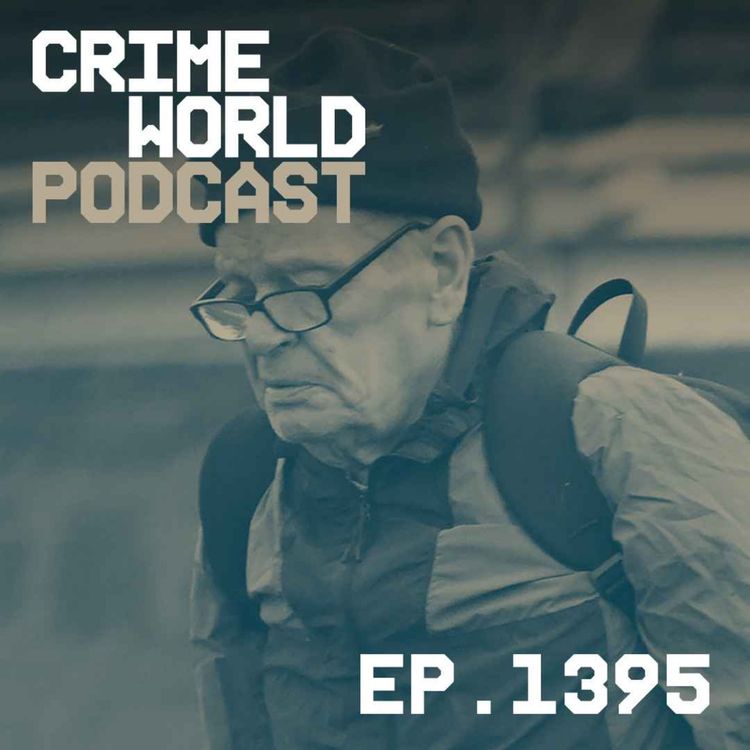 cover art for Killer who beat Dublin mum to death with a lump hammer is back on the streets