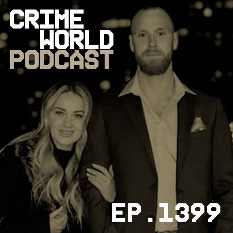 cover art for How Seamus Culleton's bid to highlight ICE arrest went wrong