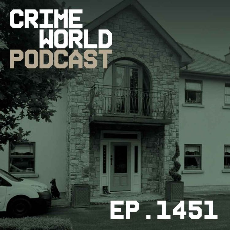 cover art for Why one family's Celtic Tiger dream home was demolished in a day