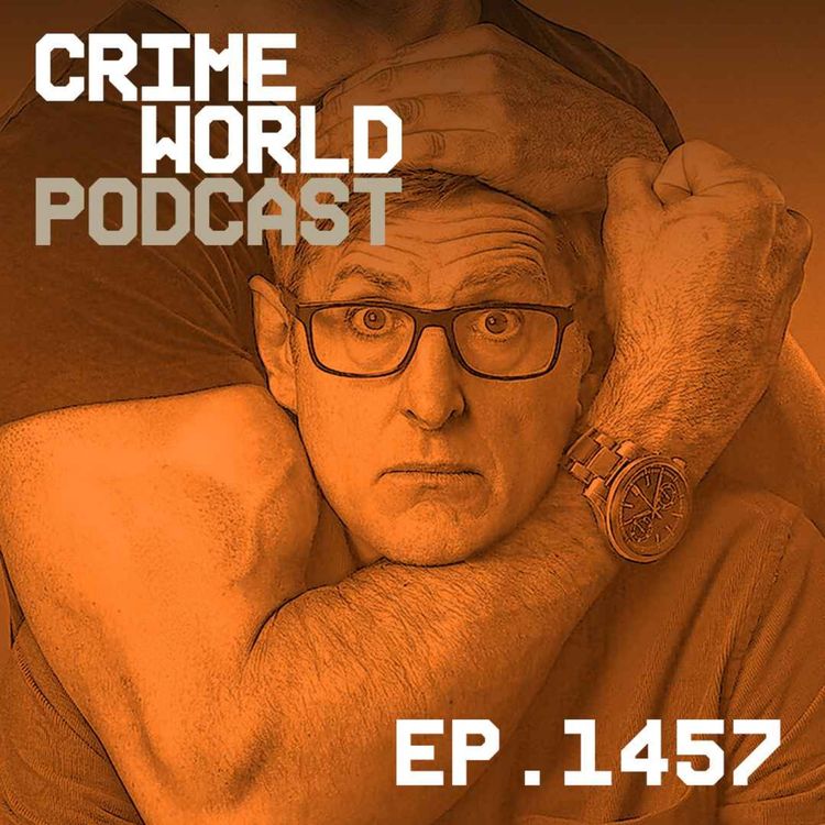 cover art for Why should we care about the Manosphere?